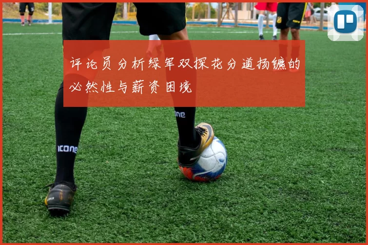 评论员分析绿军双探花分道扬镳的必然性与薪资困境